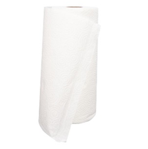 Paper Towel 2 Ply 30 Rolls