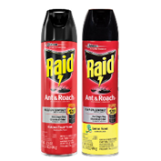 Raid Ant & Roach Spray 17.5 Oz