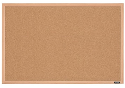 Cork Bulletin Board