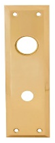 Exterior Mortise Lock Plate with Cylinder Hole 2 3/4" X 10"