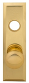 Mortise Lock Plate Exterior for Marks 114A
