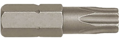 Insert Bit Torx