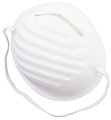 Disposable Dust Masks 5/Pk