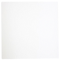 Ceramic Floor Tile 12" x 12" 10.77 S.F. White