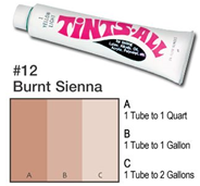 Paint Tint #12 - Burnt Sienna