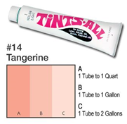 Paint Tint #14 - Tangerine