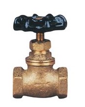 Globe Valve IPS 1/2"