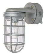 Vaporproof Outdoor Fixture W/Cage Wall Mount