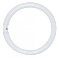 Circline Fluorescent Bulb