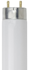 Fluorescent Thin Tube