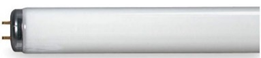 Fluorescent Tube