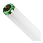 Fluorescent Tube 8 Ft. F96T12/CW