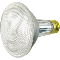 Halogen Floodlight Long Neck 60W PAR30 WFL