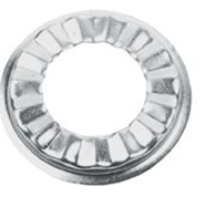 Basin Rosette Flat