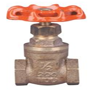 Gate Valve IPS