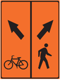 BIKE LANE - BIKE LEFT, PED RIGHT